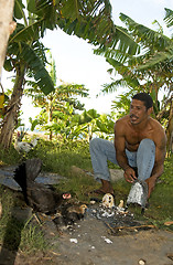 Image showing native man feeding chickens coconut