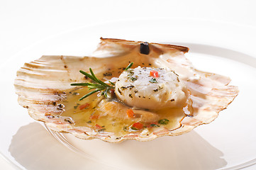 Image showing Scallop