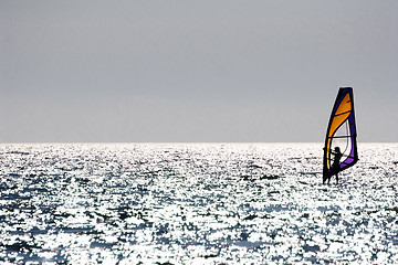 Image showing windsurfer