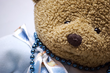 Image showing Soft bear close-up 