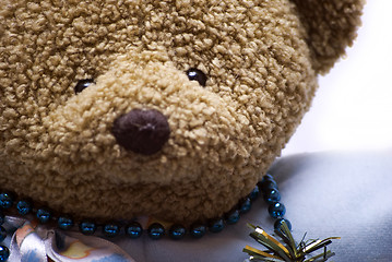 Image showing Soft bear close-up  