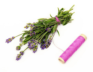 Image showing Lavender small bouquet