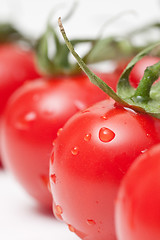 Image showing fresh tomatoes