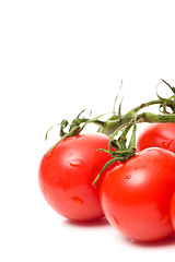 Image showing fresh tomatoes