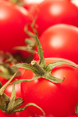 Image showing Tomatoes