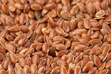 Image showing Linseed