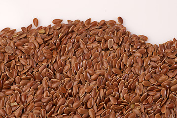 Image showing Linseed