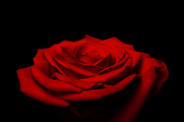 Image showing Layers of love petals - red rose