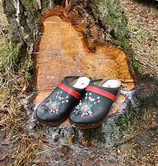 Image showing wood  shoes