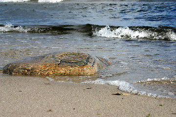 Image showing stone at the beach