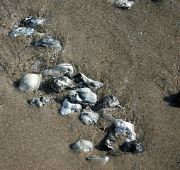 Image showing stone at the beach