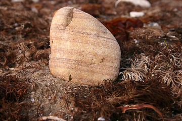 Image showing stone at the beach