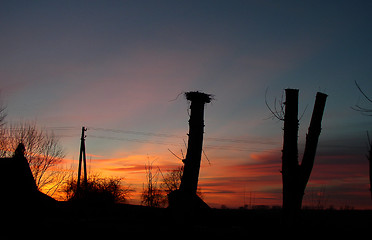 Image showing Sky at Sunset