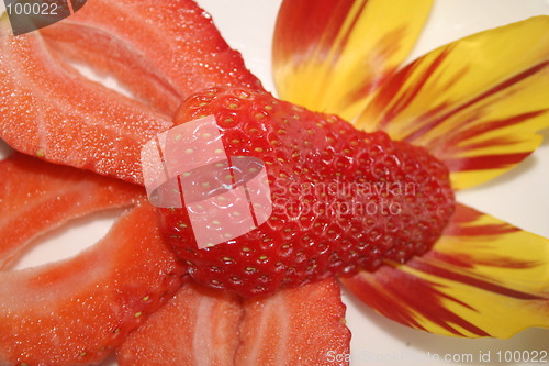 Image of macro of strawberry slices and petals