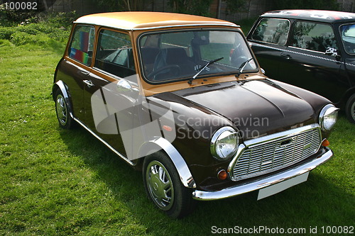 Image of brown mini