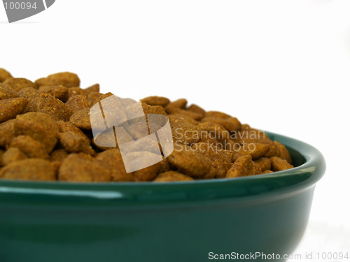 Image of dog food