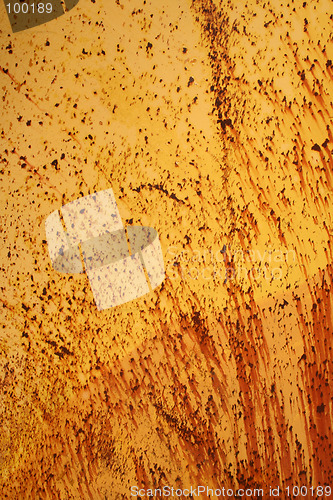 Image of A plouch's surface
