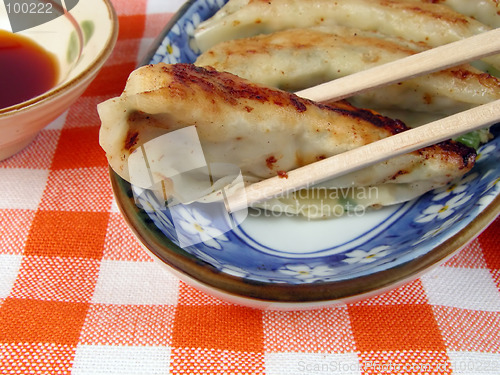 Image of Gyoza-close-up