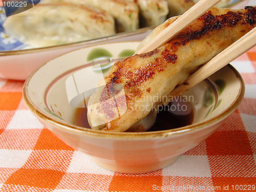 Image of Gyoza-close-up 2