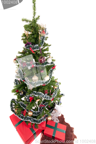Image of Christmas tree