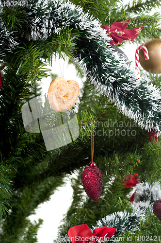 Image of Christmas tree