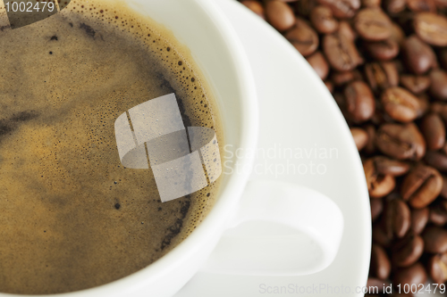 Image of Espresso and coffee crop