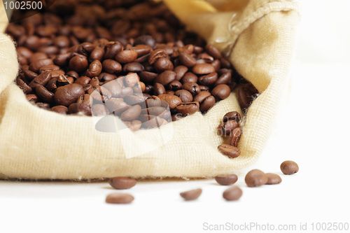 Image of Coffee crop in bag