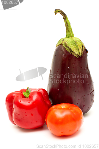 Image of Eggplant, pepper and tomato