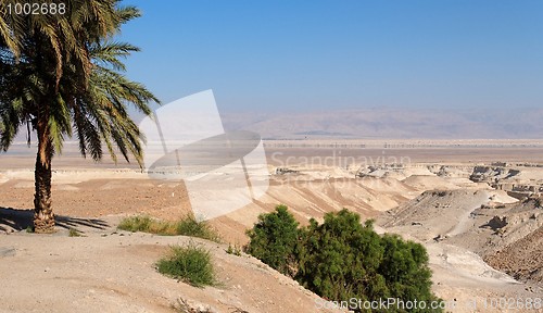 Image of Desert landscape with oasis