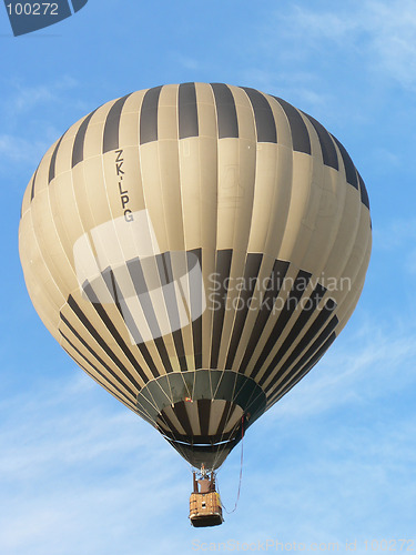 Image of Brown Balloon
