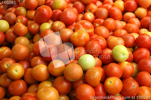 Image of Tomato