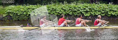 Image of Coxed four on a canal