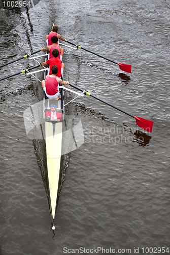 Image of Coxed four from above