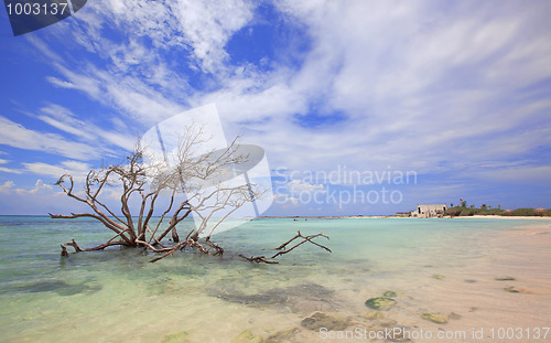 Image of Baby beach