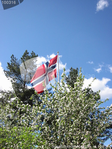 Image of Norwegian flag flying on may seventeenth