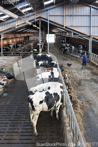 Image of Modern Stable