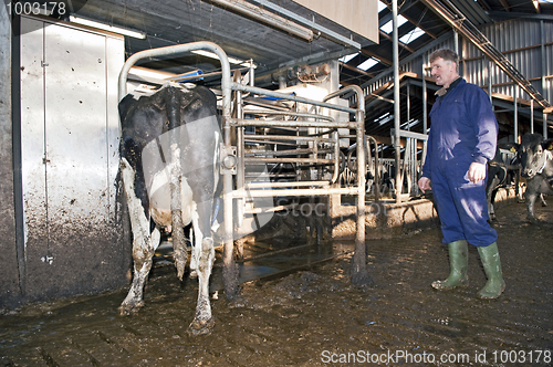 Image of Milking robot