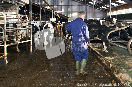 Image of Farmer cleaning a stable