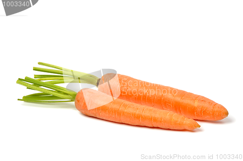 Image of Carrots on White
