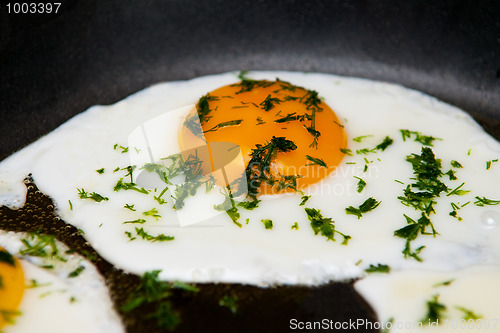 Image of Fried egg