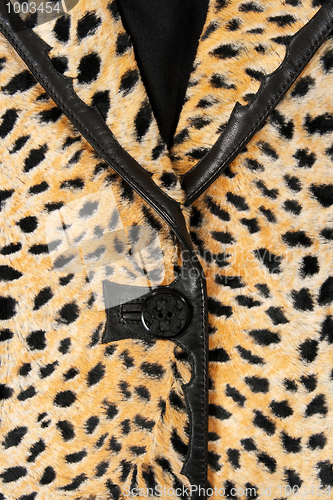 Image of Close-up of a stylish leopard jacket