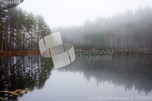 Image of Silent water