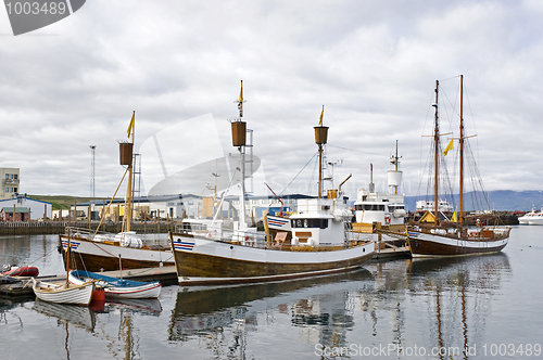 Image of Whale Watching Fleet