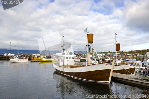 Image of Arctic Whale Watching Harbor