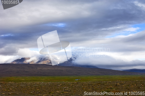 Image of Tundra