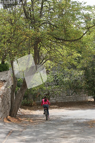 Image of Biking under trees