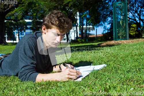 Image of Homework in the park