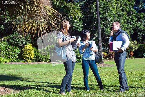 Image of Fun in the park