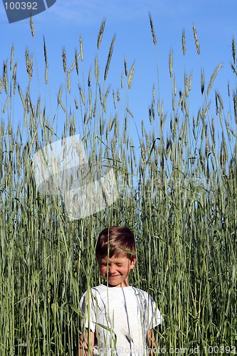 Image of A Kid in Rye