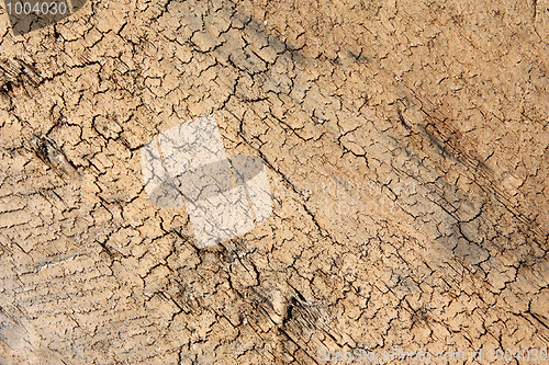Image of Old wood texture
